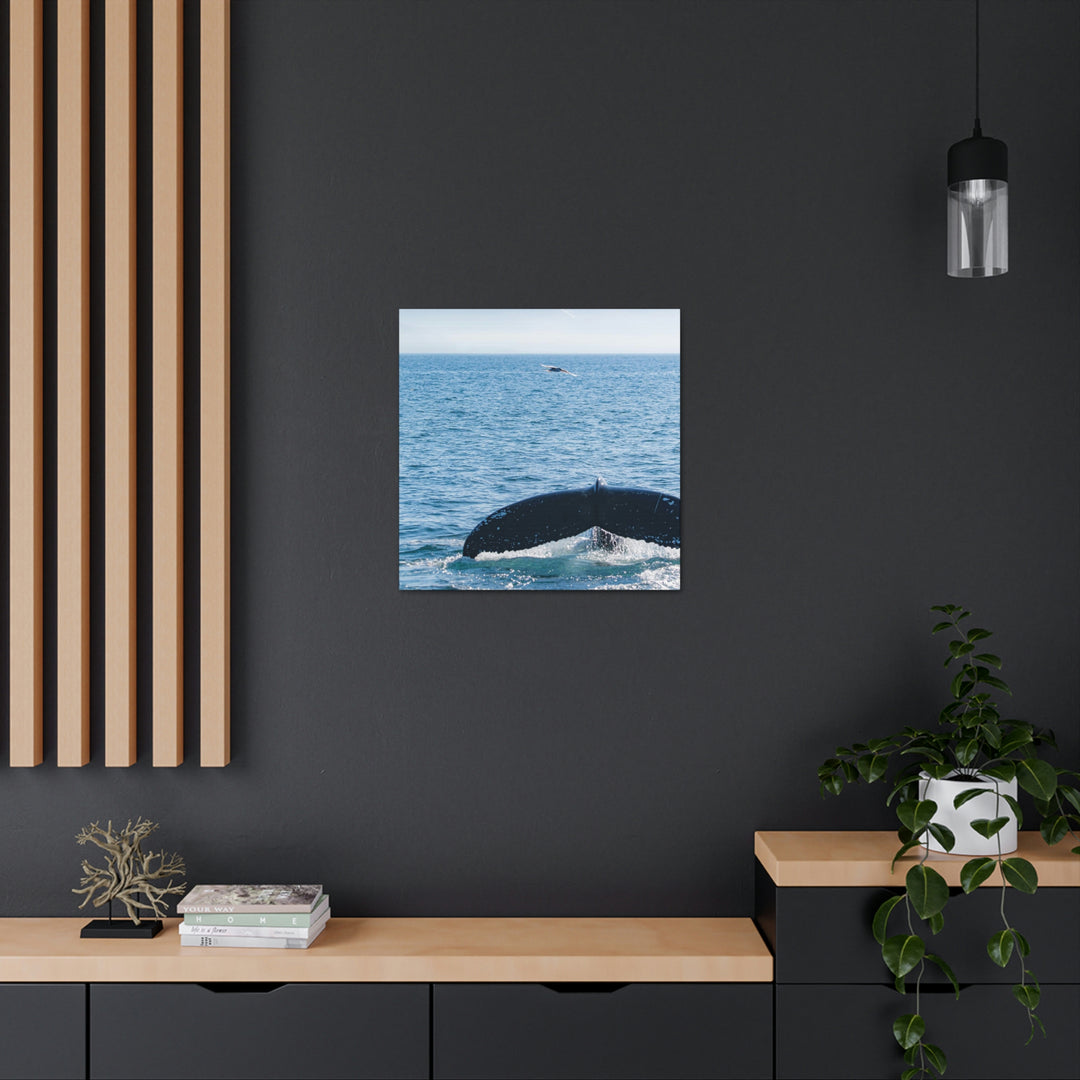 A Whale and A Mountain - Canvas