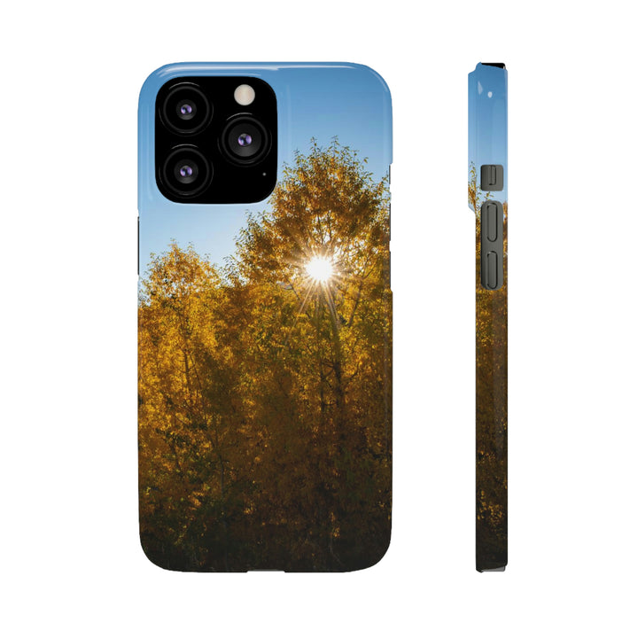 Sun Through the Aspens - Phone Case