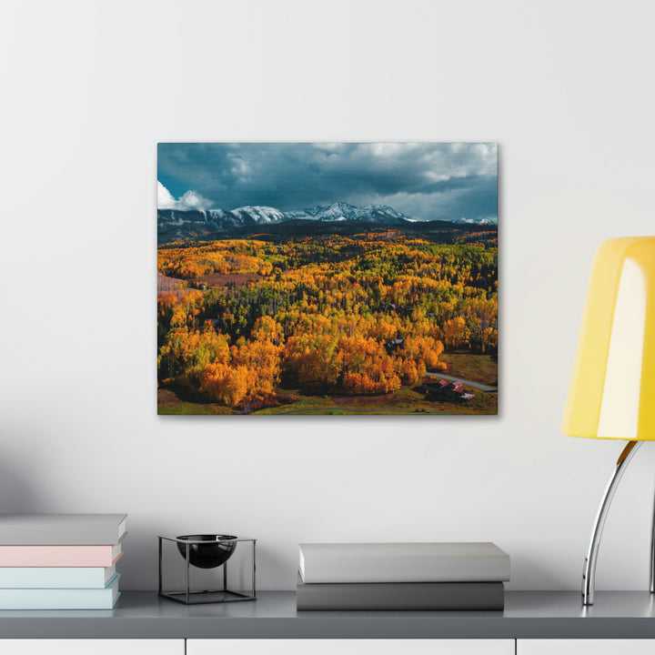 Golds of Autumn - Canvas