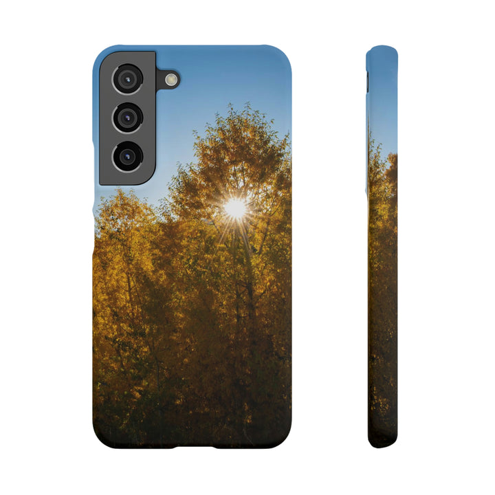 Sun Through the Aspens - Phone Case