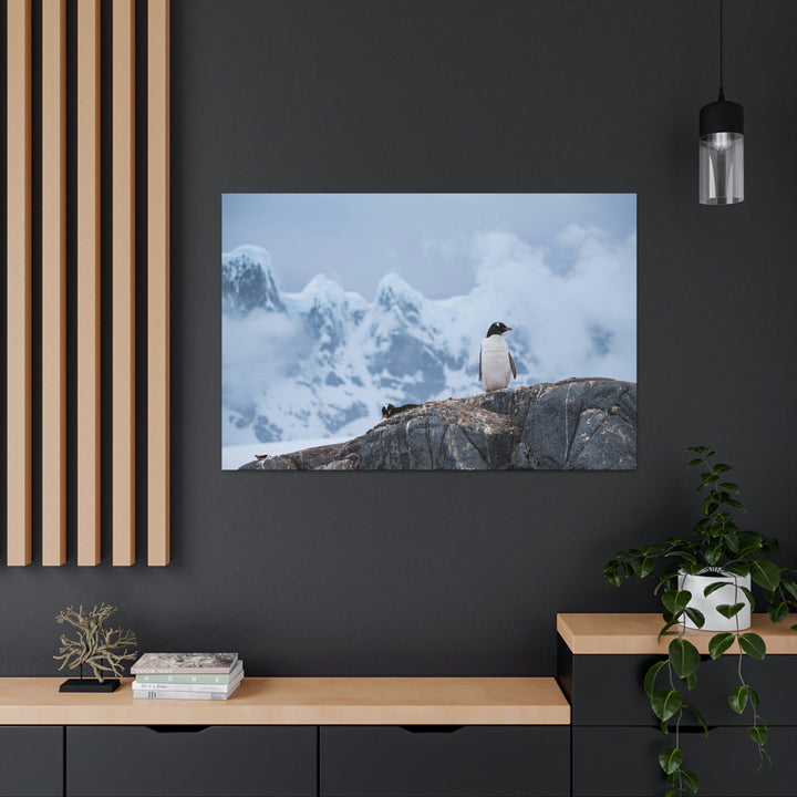 Poised Penguin - Canvas