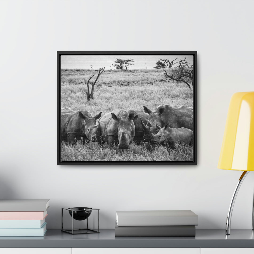 Rhino Family in Black and White - Canvas with Frame