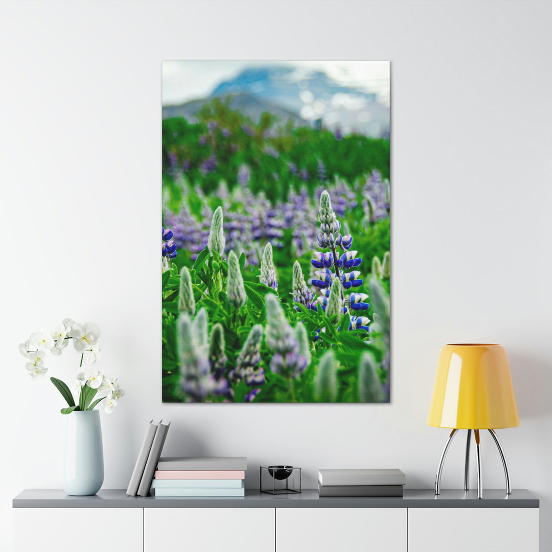 Glowing Lupin with Mountains - Canvas