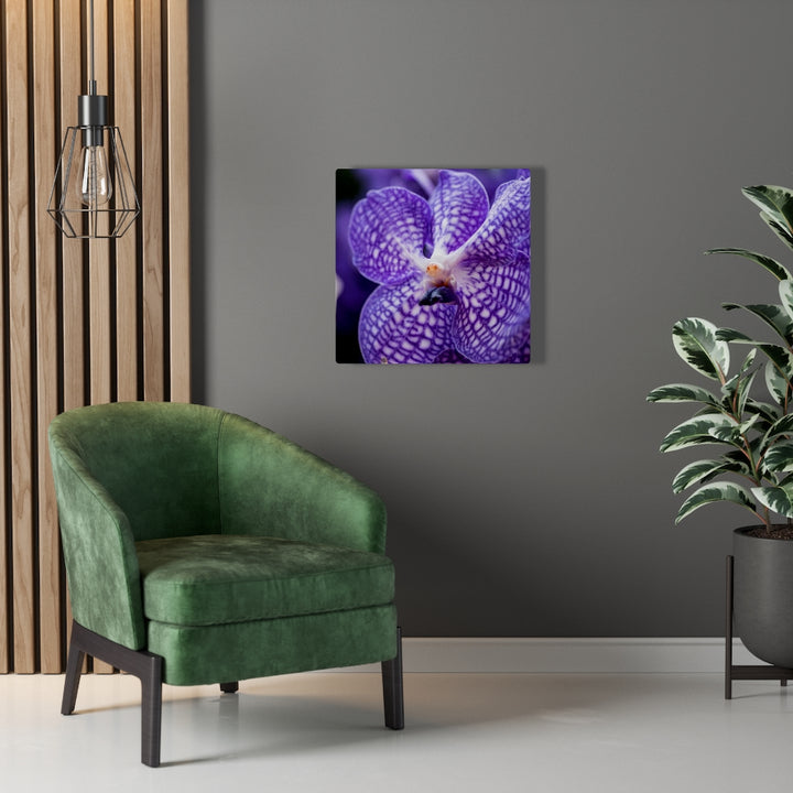 Orchid Detail - Canvas