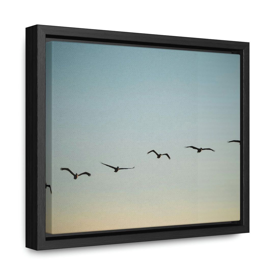 Brown Pelicans in Flight - Canvas with Frame