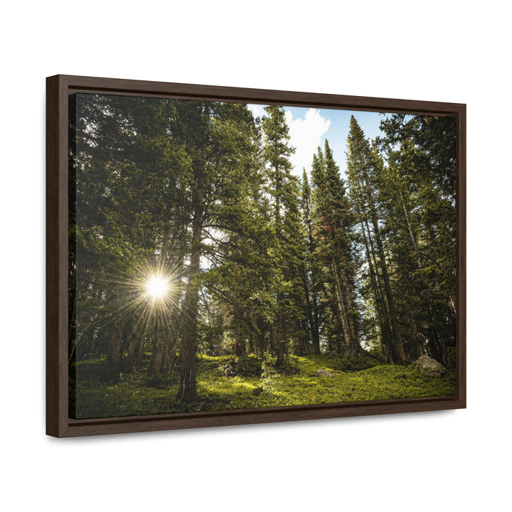 Forest Light - Canvas with Frame