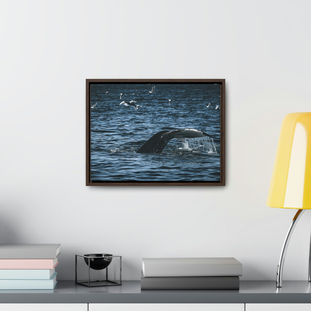 Feeding Tail - Canvas with Frame