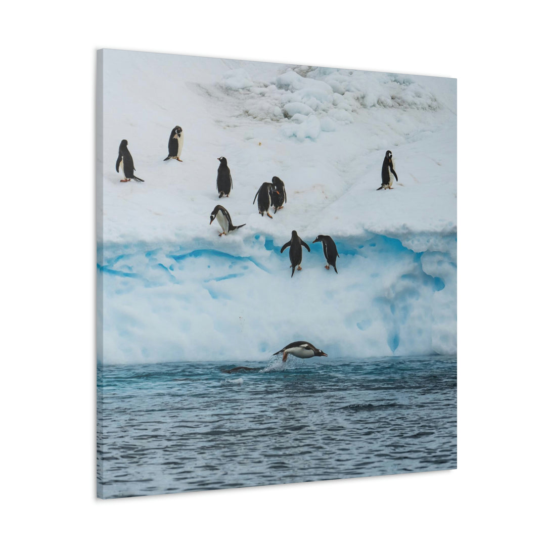 Porpoising Penguin - Canvas