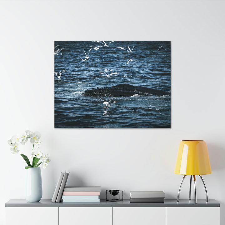 Humpback Hello - Canvas