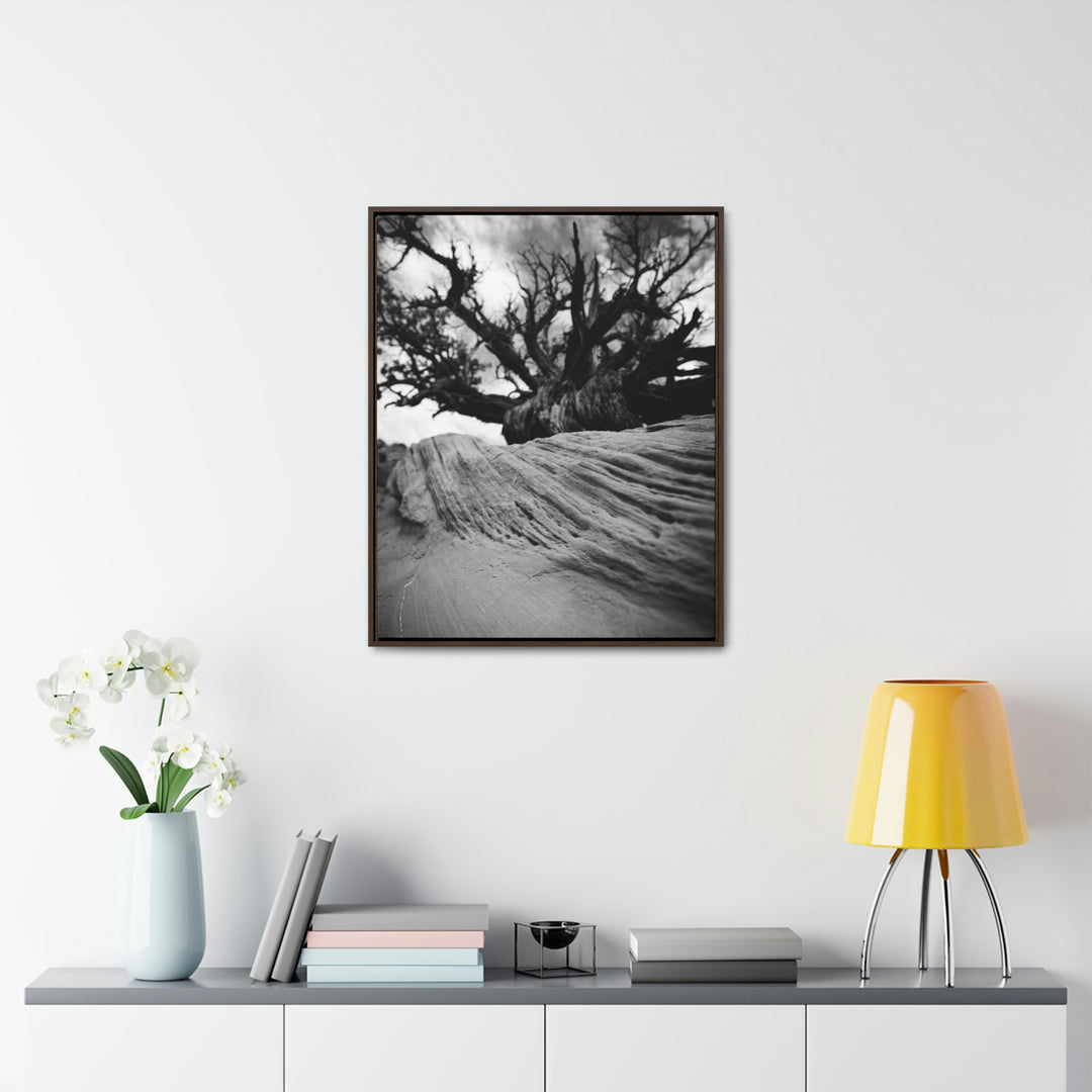 Desert Reach in Black and White - Canvas with Frame