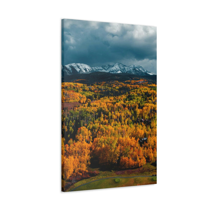 Golds of Autumn - Canvas