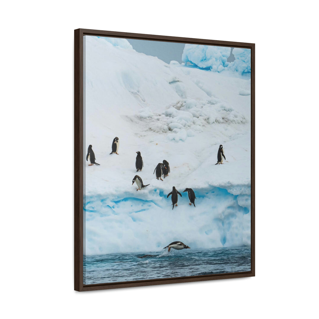 Porpoising Penguin - Canvas with Frame