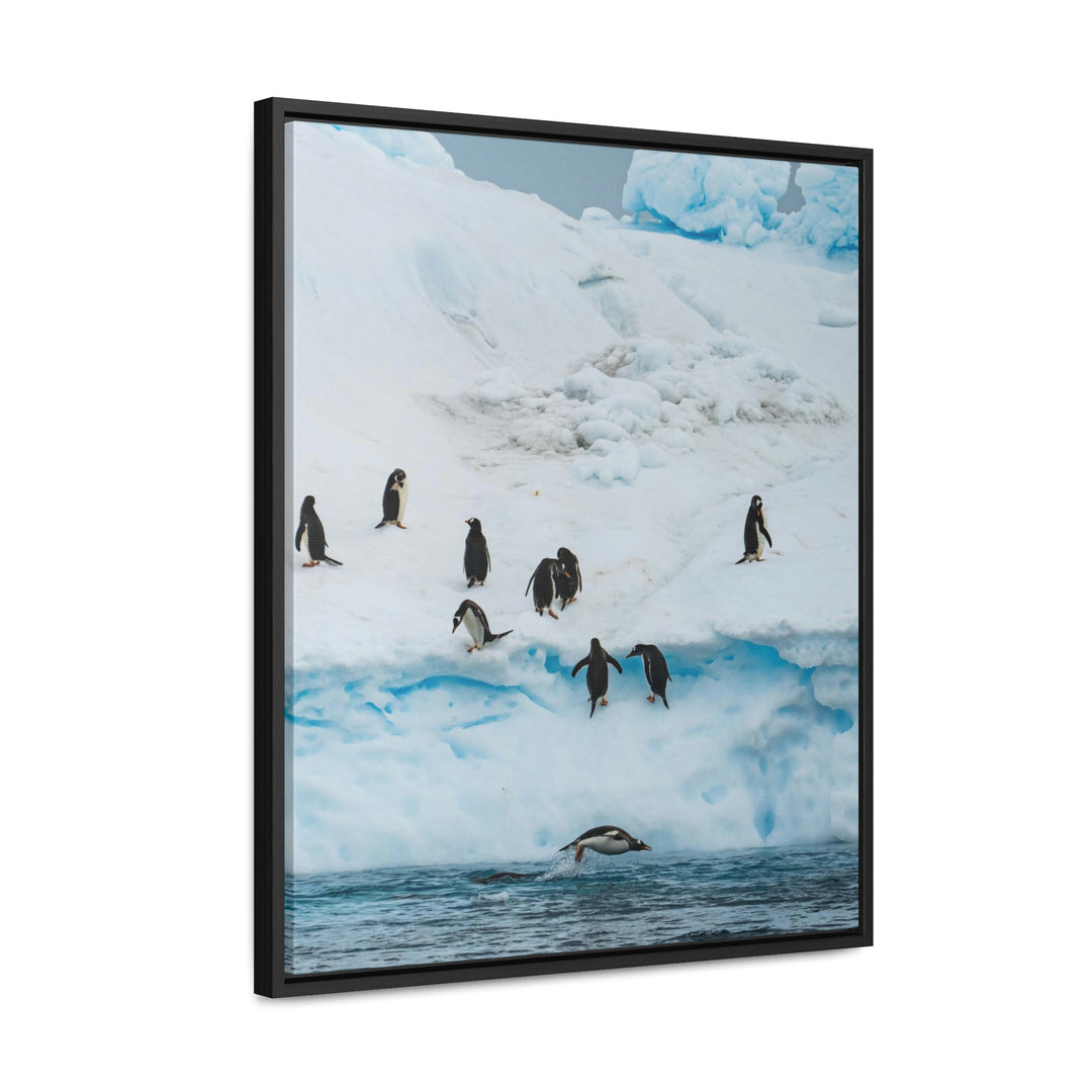 Porpoising Penguin - Canvas with Frame