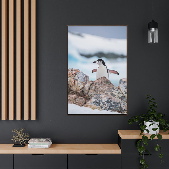 Stretched Penguin - Canvas with Frame