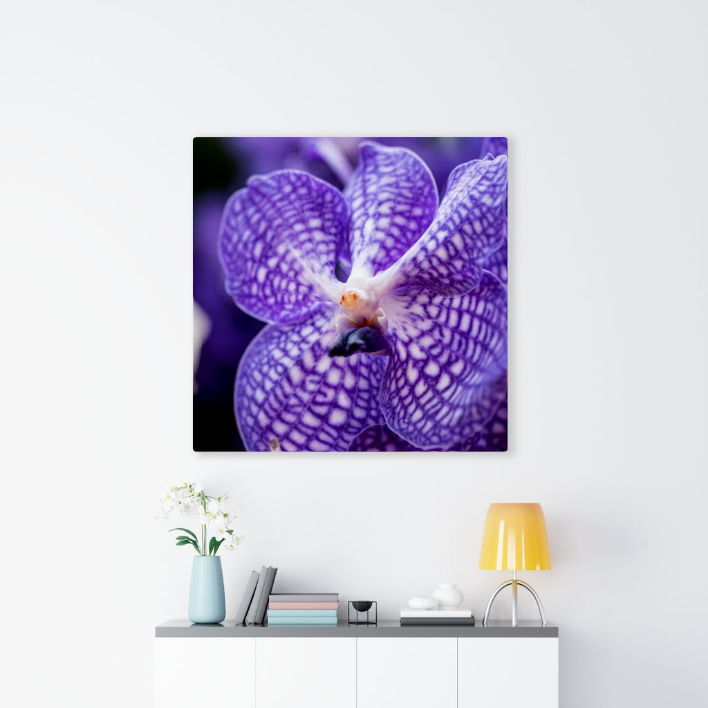 Orchid Detail - Canvas