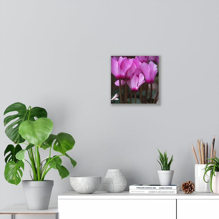 Cyclamen Reach - Canvas