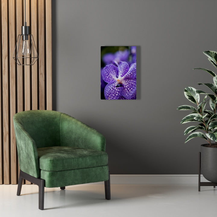 Orchid Detail - Canvas