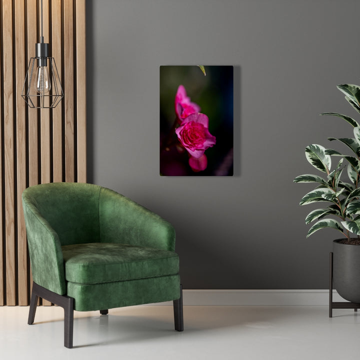 Hybrid Tea Lily - Canvas