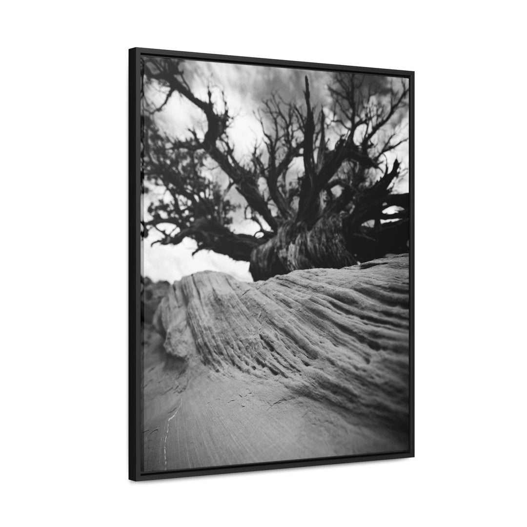 Desert Reach in Black and White - Canvas with Frame