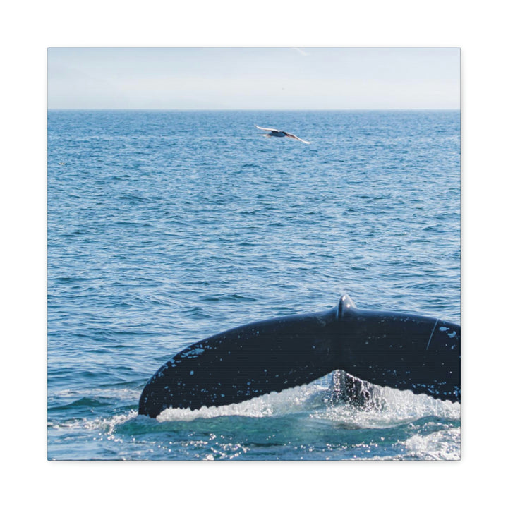 A Whale and A Mountain - Canvas