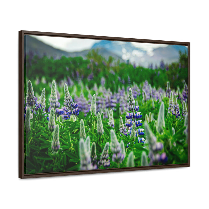 Glowing Lupin with Mountains - Canvas with Frame