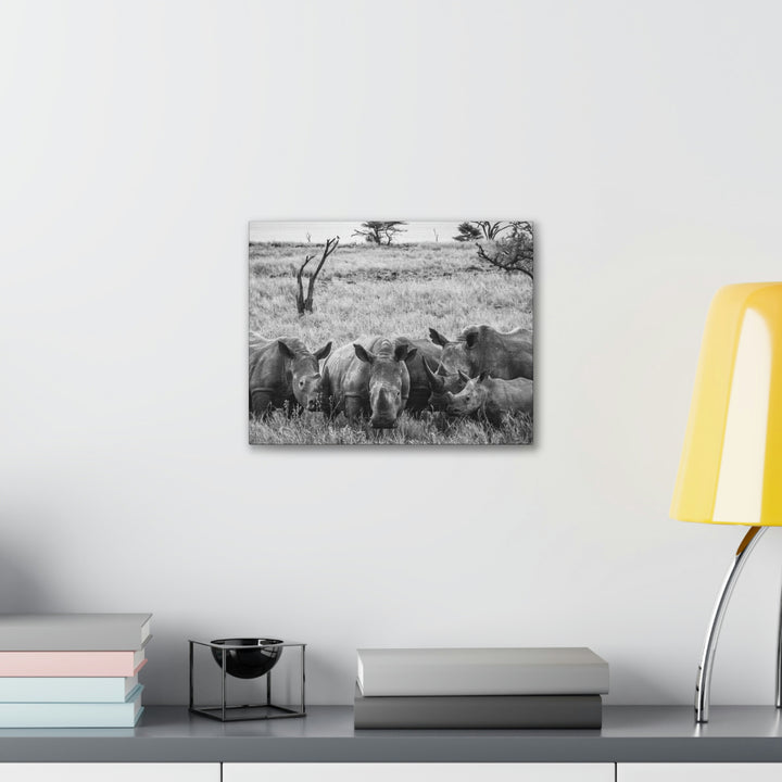 Rhino Family in Black and White - Canvas