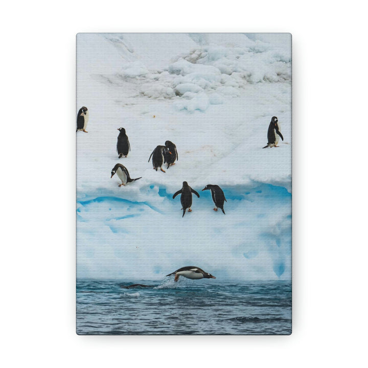 Porpoising Penguin - Canvas