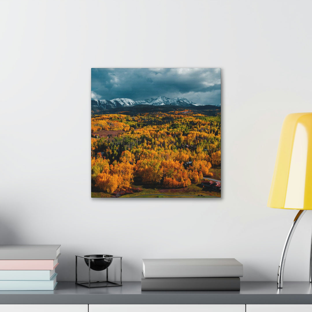 Golds of Autumn - Canvas