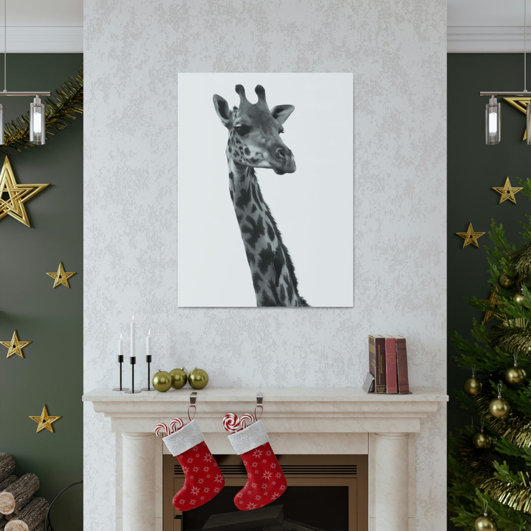 Giraffe Portrait in Black and White  - Canvas