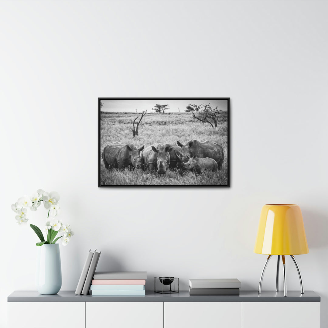 Rhino Family in Black and White - Canvas with Frame