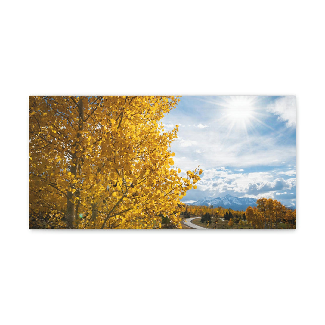 Golden Sunshine - Canvas