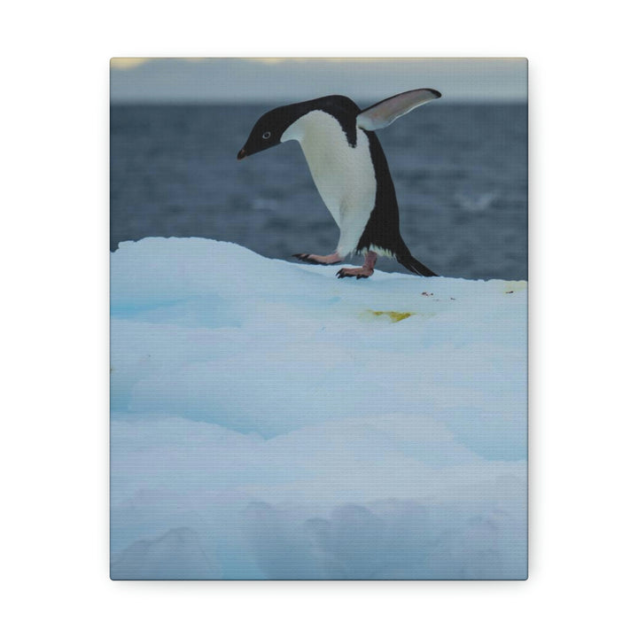 Penguin Dance - Canvas