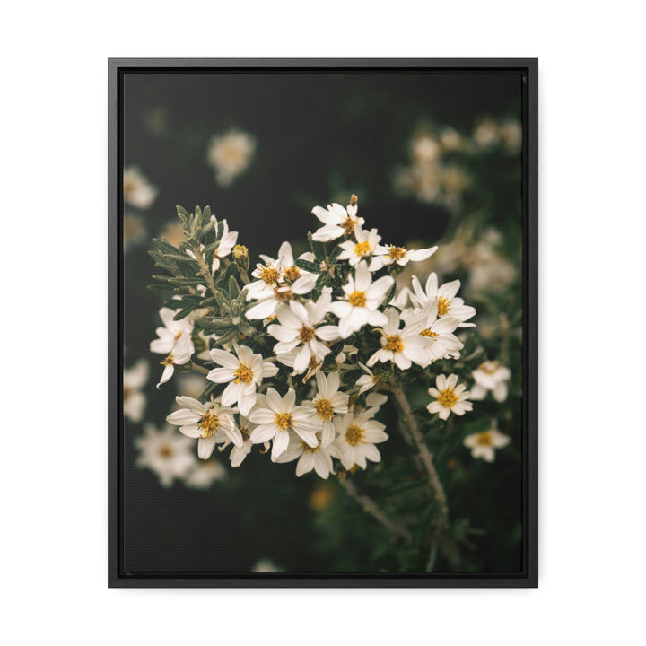 A Touch of White - Canvas with Frame