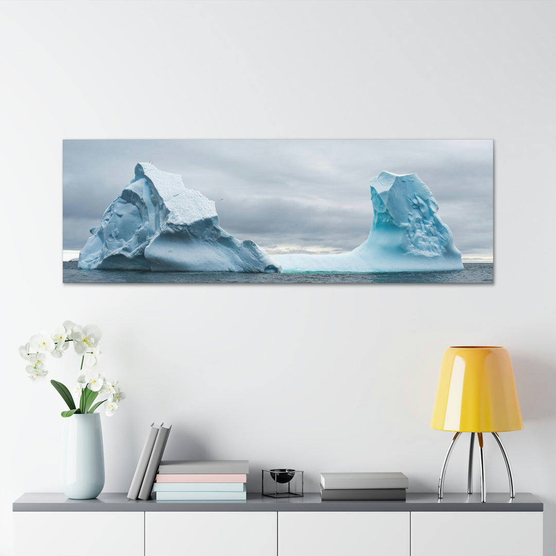 Antarctic Flight - Canvas