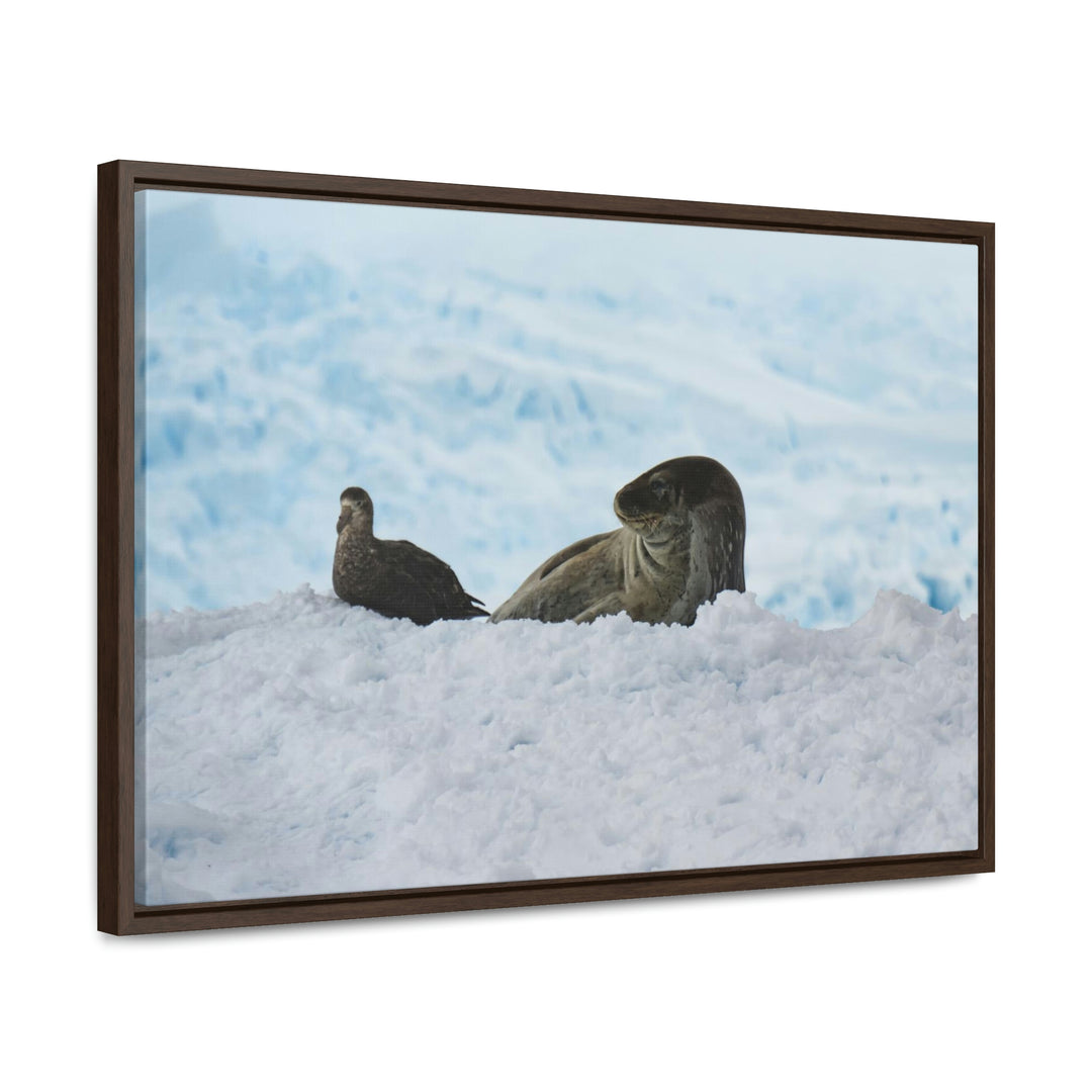 A Resting Pair - Canvas with Frame