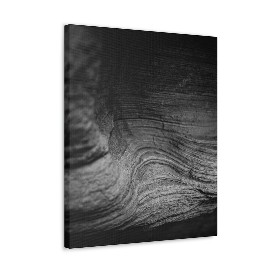 Sedimentary Rock Curves in Black and White - Canvas