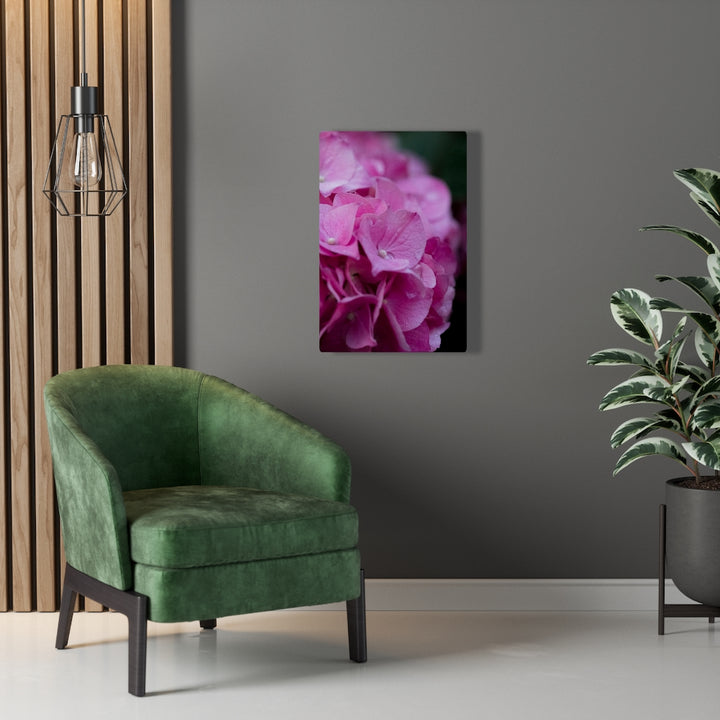 Pink Hydrangea Detail - Canvas