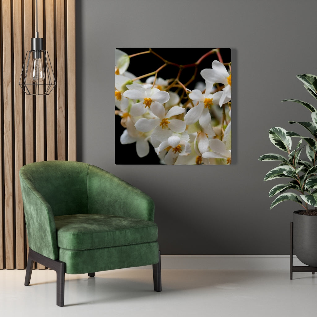 Floral Network - Canvas