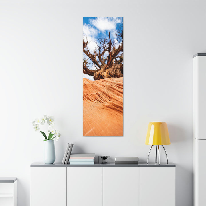 Desert Reach - Canvas