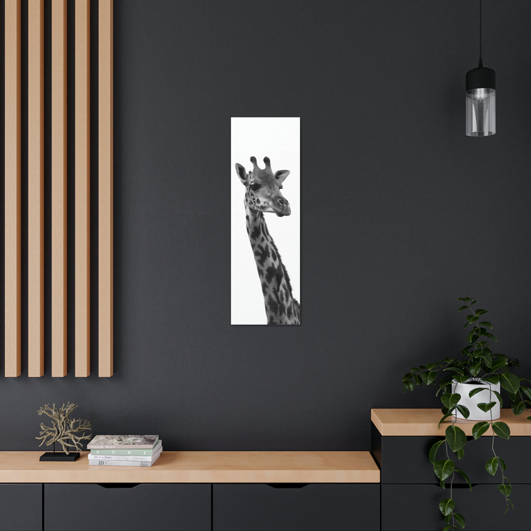 Giraffe Portrait in Black and White  - Canvas