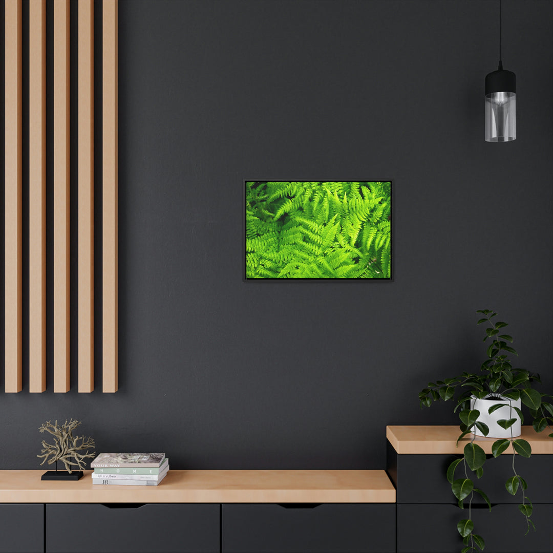 Ferns, Ferns, Ferns - Canvas with Frame