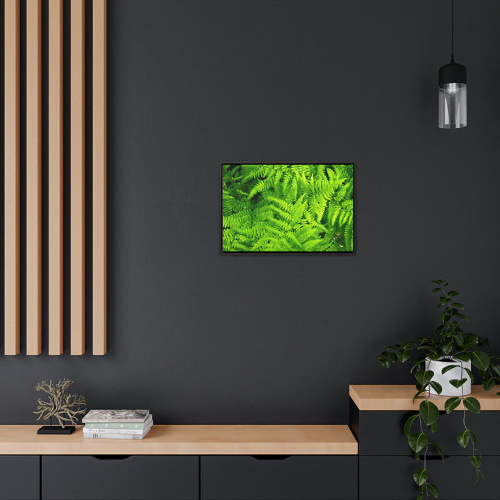 Ferns, Ferns, Ferns - Canvas with Frame