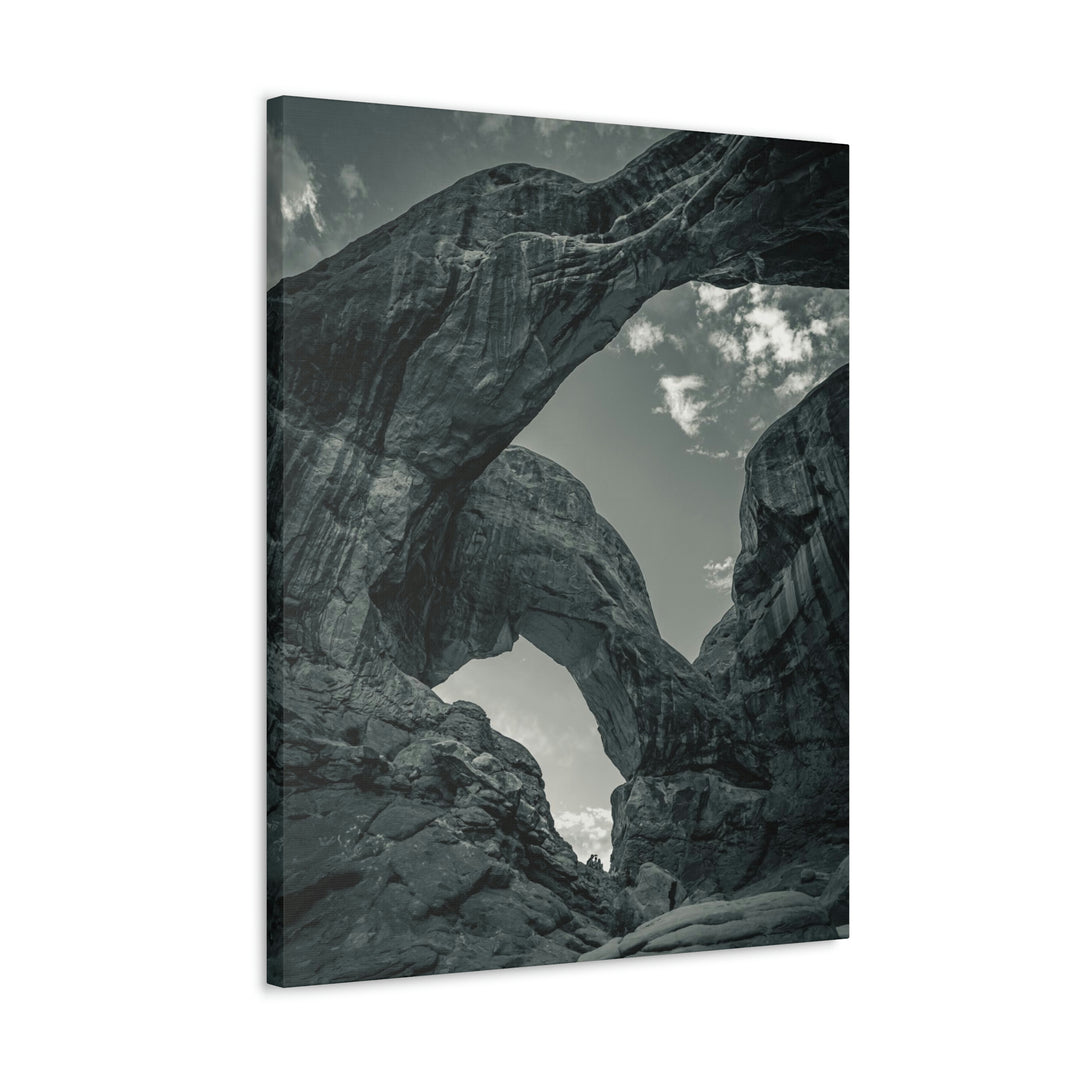 Natural Frames Part 4 in Black and White - Canvas