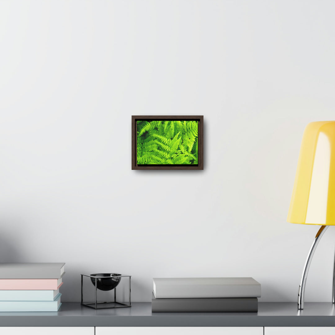 Ferns, Ferns, Ferns - Canvas with Frame