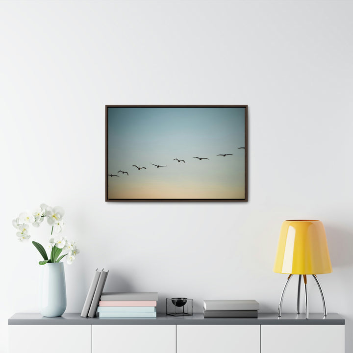 Brown Pelicans in Flight - Canvas with Frame