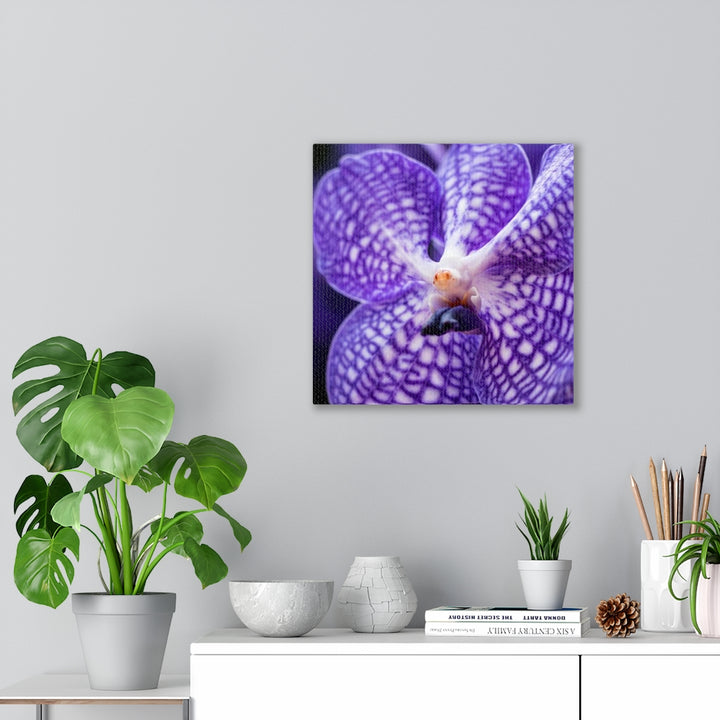 Orchid Detail - Canvas