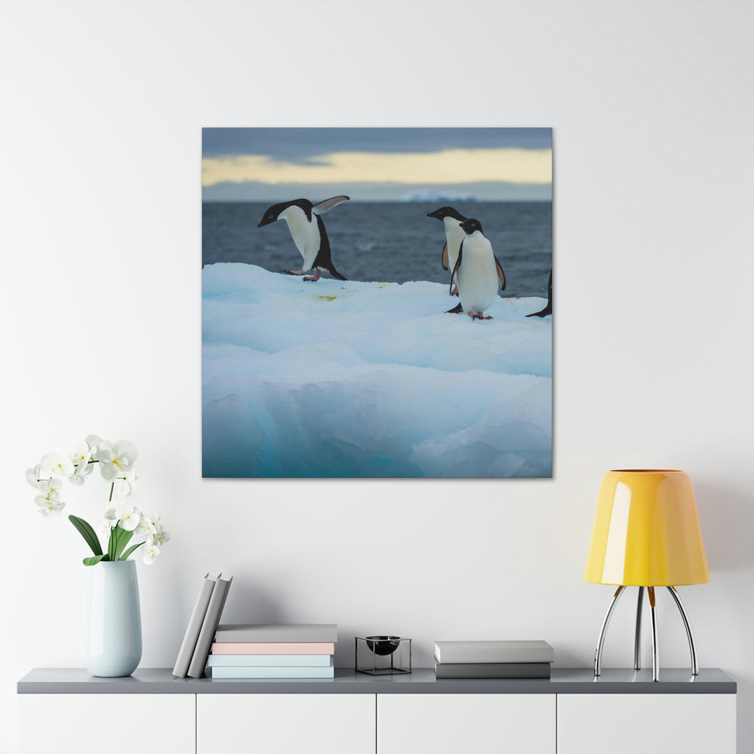 Penguin Dance - Canvas