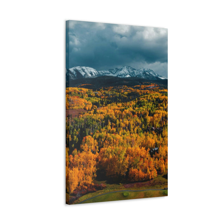 Golds of Autumn - Canvas