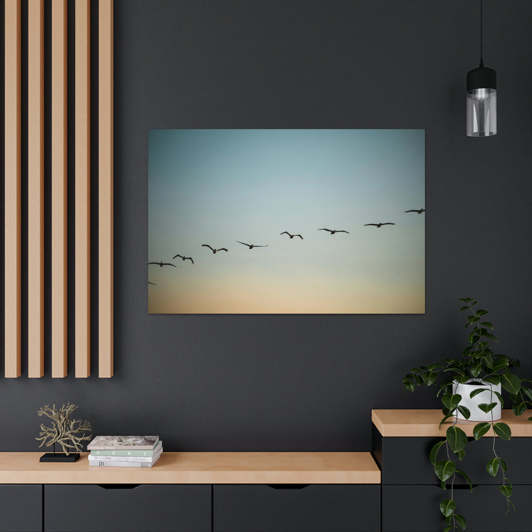 Brown Pelicans in Flight - Canvas