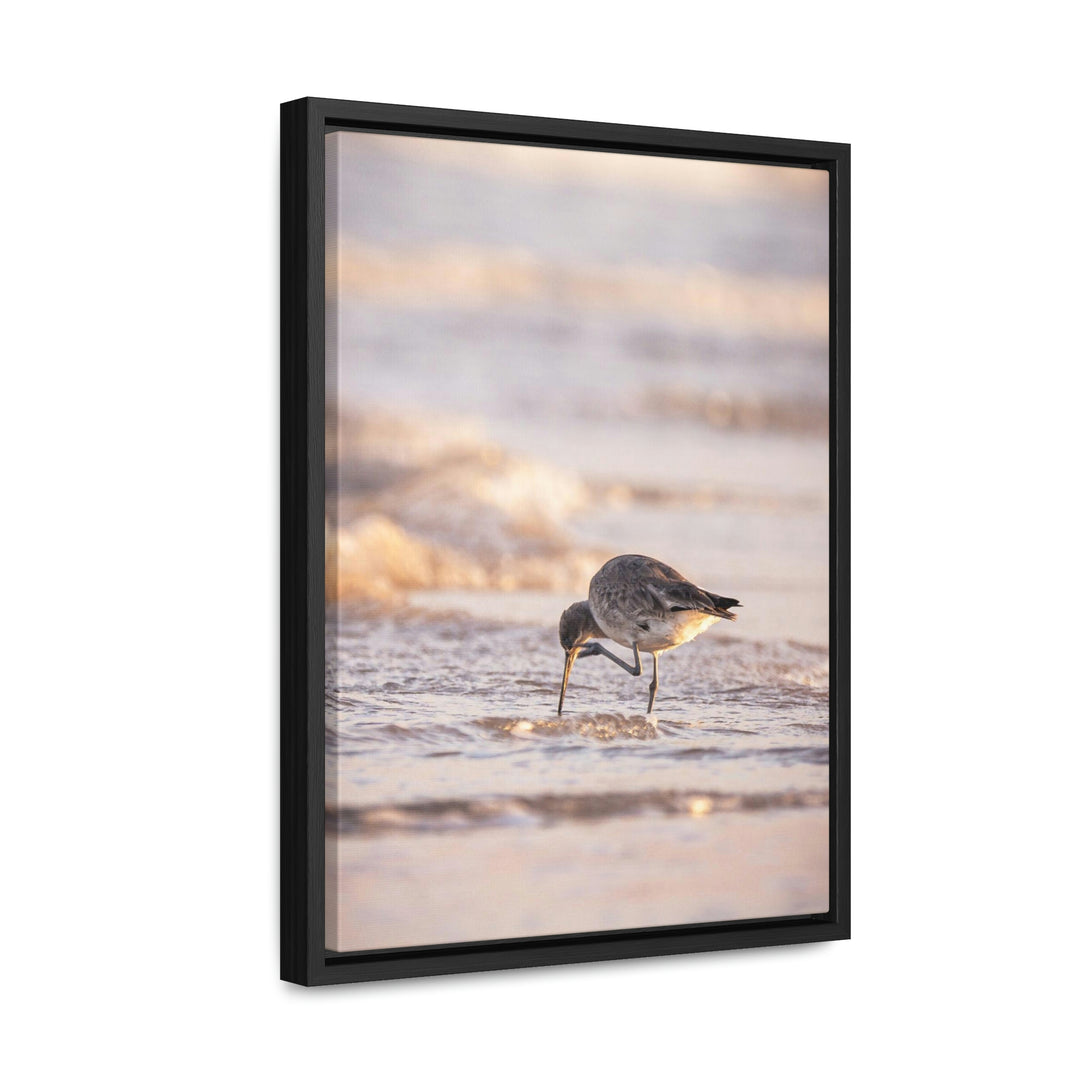 Willet Itch - Canvas with Frame